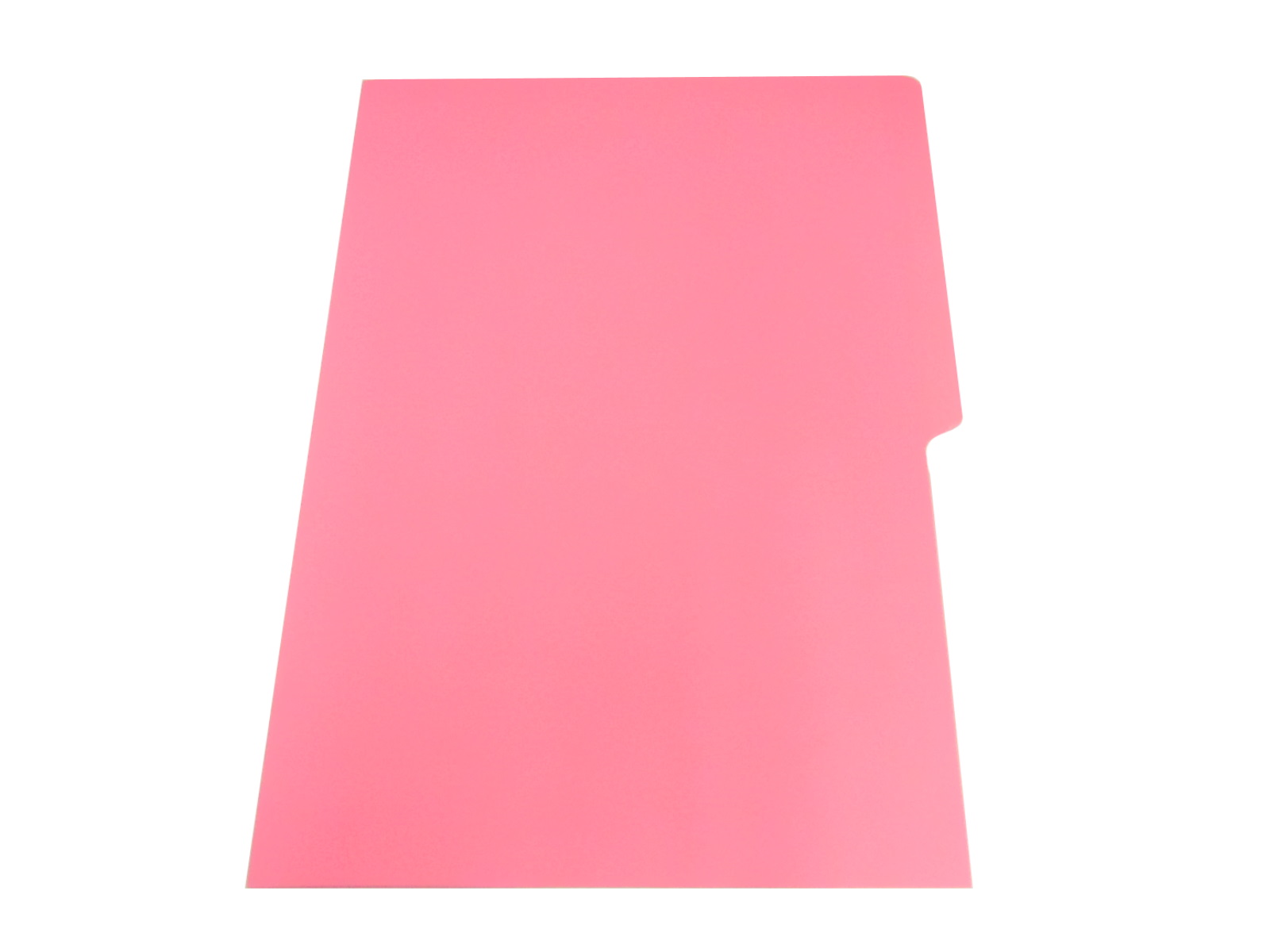 FOLDER OFICIO ROSA..                                        